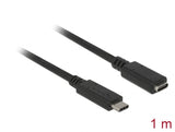 Delock 85533 Usb 10 Gbps Extension Cable Usb Type-C™ Male To Female 1 M 4K