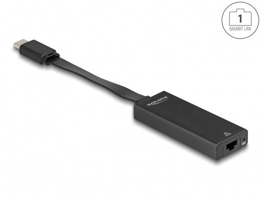 Delock 66246 Usb Type-C™ Adapter To Gigabit Lan Slim