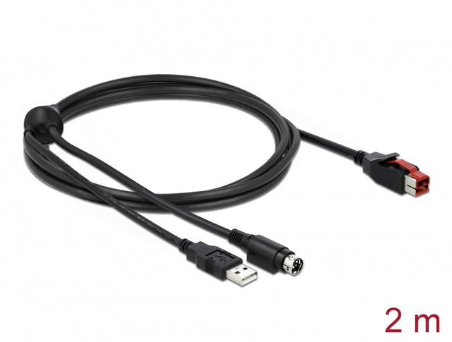 Delock 85941 Poweredusb Cable Male 24 V To Usb Type-A Male