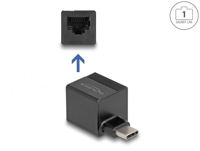 Delock 66462 Usb Type-C™ Adapter To Gigabit Lan Mini