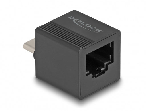 Delock 66462 Usb Type-C™ Adapter To Gigabit Lan Mini