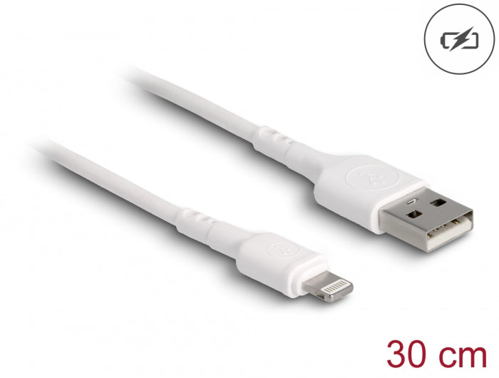 Delock 87866 Usb Charging Cable For Iphone™, Ipad™, Ipod™ White 30 Cm