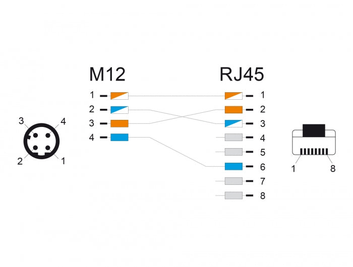 Delock 60073 M12 Adapter Cable D-Coded 4 Pin Male To Rj45 Male 50 Cm