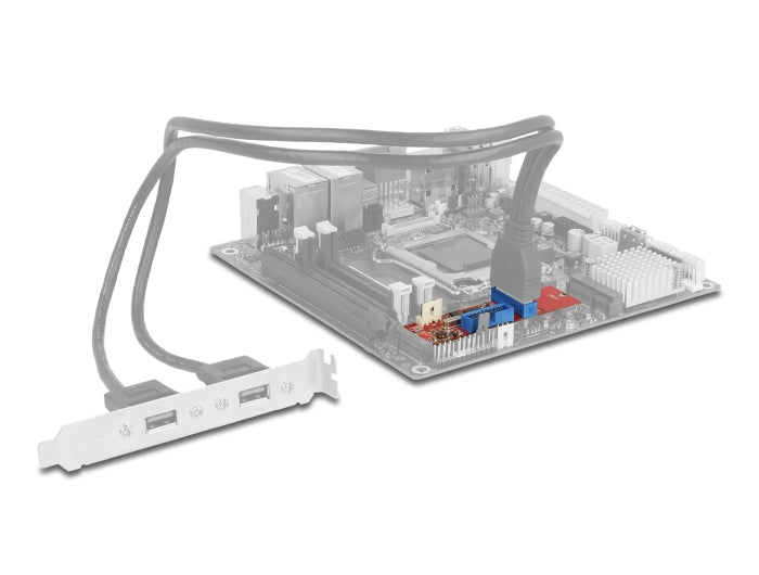 Delock 62843 Converter M.2 Key B+M Male To 2 X Usb 5 Gbps Pin Header