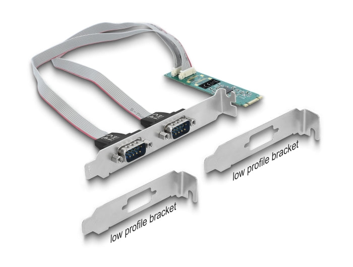 Delock 95270 M.2 Card To 2 X Serial Rs-232 Db9 With Standard