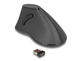 Delock 12622 Ergonomic Vertical Optical 5-Button Mouse 2.4 Ghz Wireless