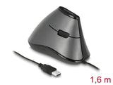 Delock 12527 Ergonomic Optical 5-Button Usb Mouse