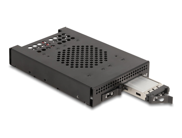 Delock 47070 3.5″ Mobile Rack For 2 X M.2 Nvme Ssd W/ Connector