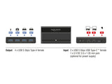 Delock 88066 Usb 5 Gbps Switch 4 X Device And 2 X Host