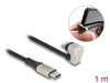 Delock 80025 Data And Charging Cable Usb Type-C To Lightning