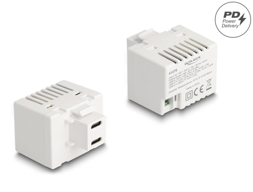 Delock 41479 Keystone Module With 2 X Usb Type-C™ Charging Port Pd 20 W White