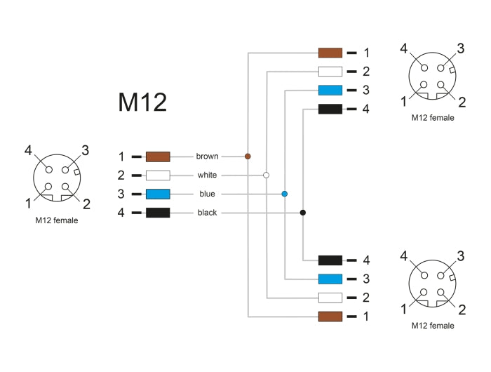 Delock 60579 M12 T-Splitter A-Coded 4 Pin 1 X Female To 2 X Female Connection