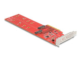 Delock 90616 Pci Express X8 Card To 2 X Internal Nvme M.2 Key M 110 Mm