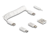 Delock 66612 5 In 1 Usb Data And Charging Cable And Adapter Set Pd 3.0 60 W