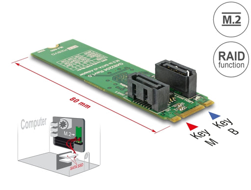 Delock 62961 Converter M.2 Key B+M Male > 2 X Sata 7 Pin Male With Raid