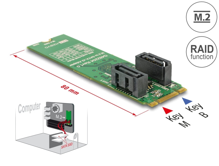 Delock 62961 Converter M.2 Key B+M Male > 2 X Sata 7 Pin Male With Raid