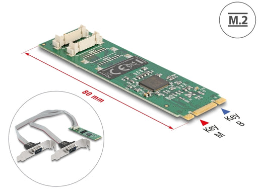 Delock 95270 M.2 Card To 2 X Serial Rs-232 Db9 With Standard