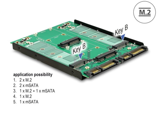 Delock 62946 3.5″ Converter 2 X Sata 22 Pin > Dualport 2 X M.2 / 2 X Msata