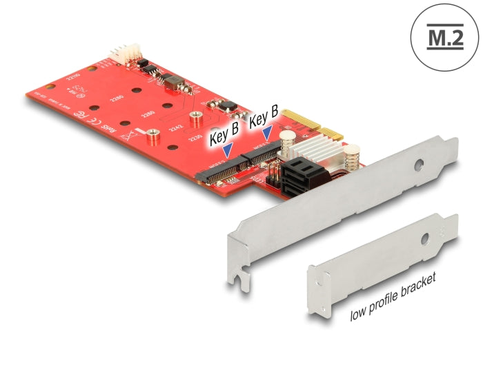 Delock 89379 Pci Express X4 Card > Hybrid 2 X Internal M.2 + 2 X Sata 6 Gb/S