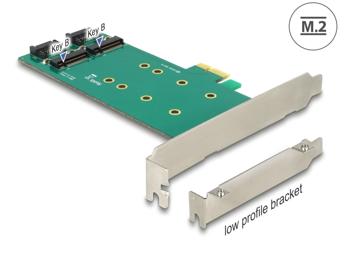 Delock 89473 Pci Express X1 Card > 2 X Internal M.2 Key B 110 Mm