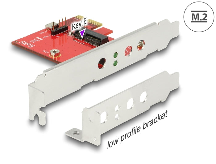 Delock 89889 Pci Express X1 Card > 1 X Internal M.2 Key E
