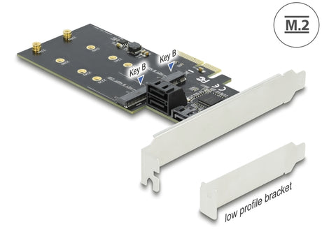 Delock 90499 3 Port Sata And 2 Slot M.2 Key B Pci Express X4 Card