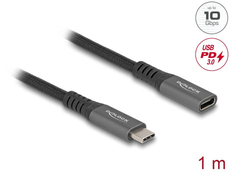 Delock 80022 Usb 10 Gbps Extension Cable Usb Type-C™ Male To Female Pd 3.0