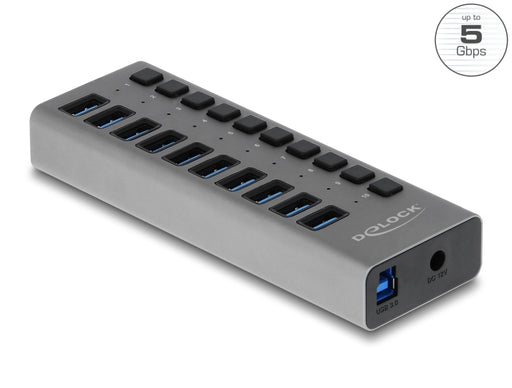 Delock 63670 External 5 Gbps Usb Hub With 10 Ports + Switch