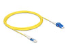 Delock 88317 Optical Fiber Cable Cs Male To Lc Duplex Singlemode