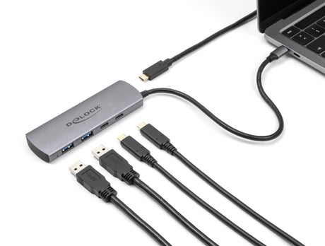 Delock 64299 Usb 10 Gbps 2 Port Usb Type-A + 2 Port Usb Type-C™ Hub