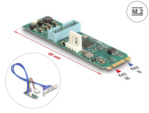 Delock 61065 Converter M.2 Key B+M Male To 2 X Usb 5 Gbps Type-A Female