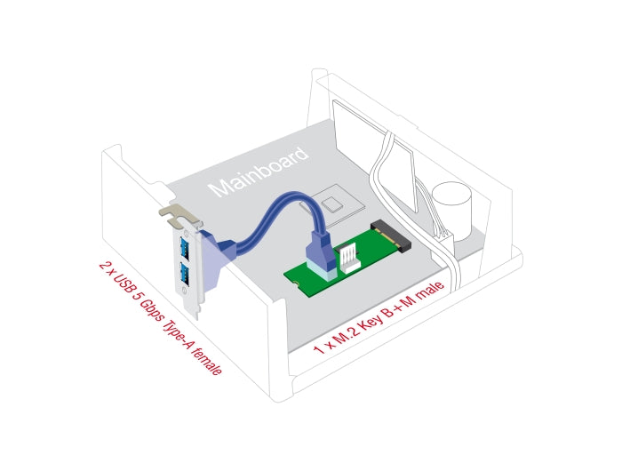 Delock 61065 Converter M.2 Key B+M Male To 2 X Usb 5 Gbps Type-A Female