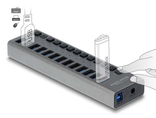 Delock 63738 External Usb 5 Gbps Hub With 13 Ports + Switch