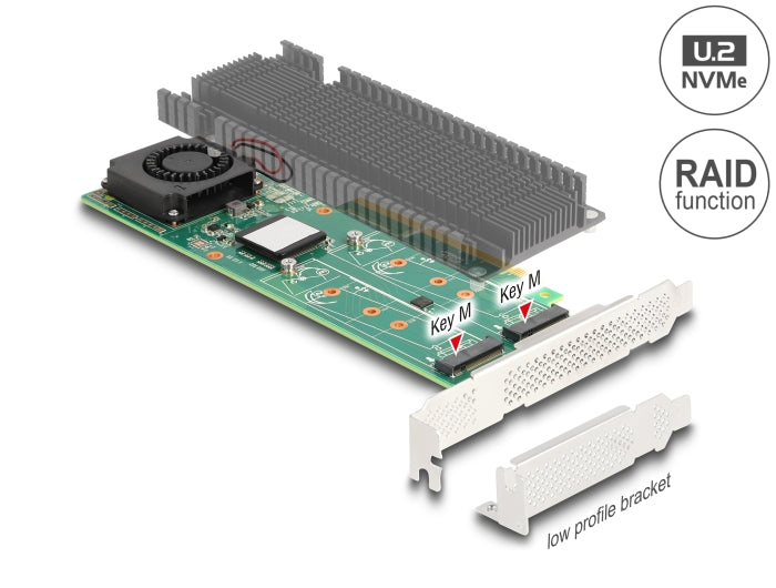 Delock 90123 Pci Express X8 Card To 2 X Internal Nvme M.2 Key M With Raid