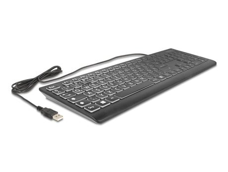 Delock 12170 Usb Keyboard Wired 1.5 M Black With Xxl Letters And Illumination