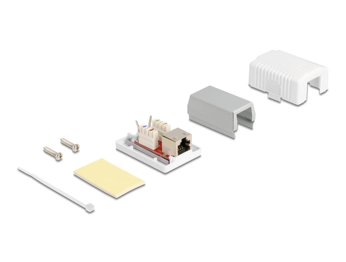 Delock 86196 Network Wall Outlet 1 Port Cat.6A Lsa