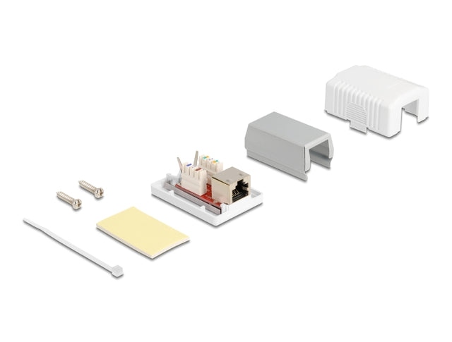 Delock 86196 Network Wall Outlet 1 Port Cat.6A Lsa