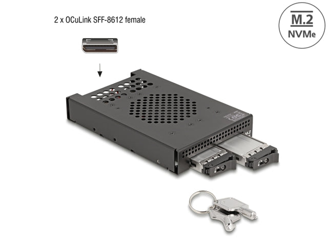 Delock 47070 3.5″ Mobile Rack For 2 X M.2 Nvme Ssd W/ Connector