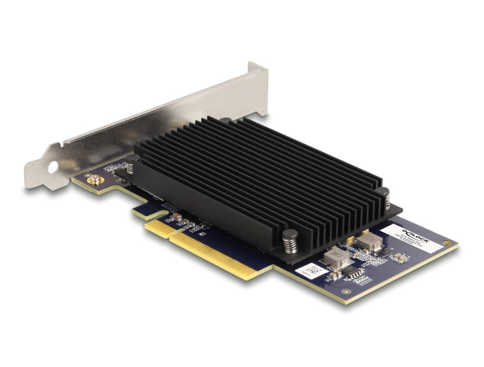 Delock 31416 Pci Express X8 Hailo-8™ Ai Processor X2 Ai-Accelerator