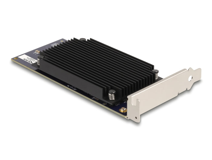 Delock 31416 Pci Express X8 Hailo-8™ Ai Processor X2 Ai-Accelerator