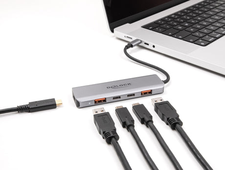 Delock 64302 Usb 10 Gbps 2 Port Usb Type-A + 2 Port Usb Type-C™ Hub