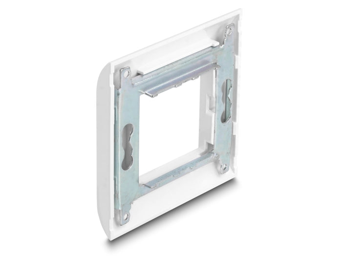 Delock 81300 Easy 45 Module Holder With Frame 80 X 80 Mm White