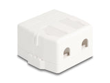 Delock 85843 Keystone Surface Mounted Box 2 Port With Magnetic Bottom, White