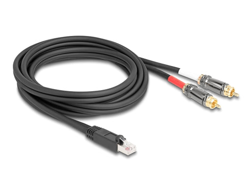 Delock 88171 Adapter Cable Rj45 Plug To 2 X Rca Male Black 2 M