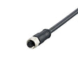 IFM E12504 Y Connection Cable