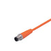 IFM EVT073 Y Connection Cable