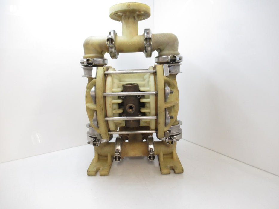 Wilden 1 Inch Poly Diaphragm Pump